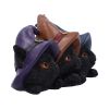 Trio of Mischief 20cm Cats NEMESIS NOW | EASTER SALE