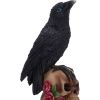 Perched Prophecy 17cm Ravens Halloween Party