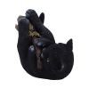 Magical Mischief 13.5cm Cats Gifts Under £100