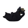 Magical Mischief 13.5cm Cats Gifts Under £100