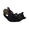 Magical Mischief 13.5cm Cats Gifts Under £100