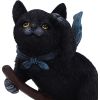 Familiar Flight 14.5cm Cats Gifts Under £100