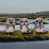 Three Wise Seals 7.5cm Animals Easter