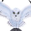 Owl Talisman 20.5cm Owls NEMESIS NOW | EASTER SALE