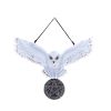 Owl Talisman 20.5cm Owls NEMESIS NOW | EASTER SALE