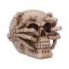 Cracked 15cm Skulls Halloween Party