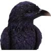 Raven Roost Backflow Incense Burner 17cm Ravens Spiritual Product Guide