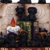 Coven Keepers (Display Stand with 36pcs) Cats Top 200 None Licensed