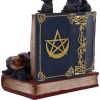 Coven Keepers (Display Stand with 36pcs) Cats Top 200 None Licensed
