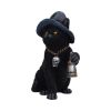 Familiar's Lantern 18cm Cats Gifts Under £100