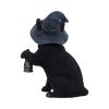 Familiar's Lantern 18cm Cats Gifts Under £100