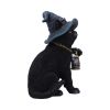 Familiar's Lantern 18cm Cats Gifts Under £100