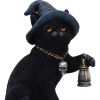 Familiar's Lantern 18cm Cats Gifts Under £100