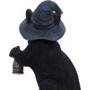 Familiar's Lantern 18cm Cats Gifts Under £100