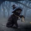 Familiar's Lantern 18cm Cats Gifts Under £100