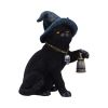 Familiar's Lantern 18cm Cats Gifts Under £100
