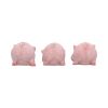 Three Wise Playful Pigs 8.4cm Animals NEMESIS NOW | EASTER SALE