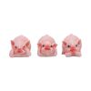 Three Wise Playful Pigs 8.4cm Animals NEMESIS NOW | EASTER SALE