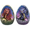 Blooming Brood (Set of 4) 9cm Dragons Easter