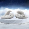 Softly They Sleep (Set of 2) 16.5cm Cherubs Spiritual Product Guide