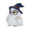 Archimedes 8.5cm Owls Gifts Under £100