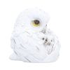 Feathered Nest 10.7cm Owls Easter