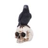 Nevermore Vigil Ravens New Arrivals