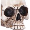 Nevermore Vigil Ravens New Arrivals