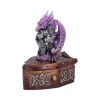 Hoard Protector Box (Purple) Dragons New Arrivals