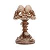 Last Light Lamp (Bone) Skulls New Arrivals
