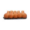 Capybara Herd Animals Stock Arrivals