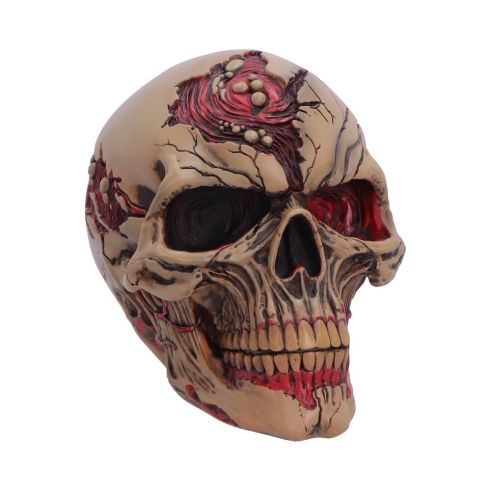 Hall of Horrors: The Walker of Death Skulls Spooky Season