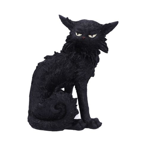 Salem (Small) 19.6cm Cats Halloween RRP Above 20