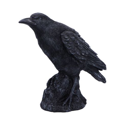 Raven Messenger 25cm Ravens Every Day Is Halloween