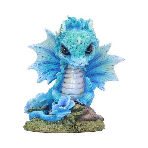 Blue Poppy Flower Dragon 11cm Dragons Flower Dragons