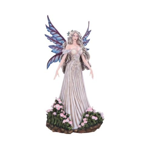 Carnelia 49.5cm Fairies RRP Under 150