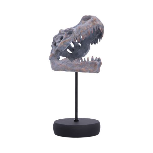 Tyrannosaurus Rex Skull on Plinth Dinosaurs Father's Day