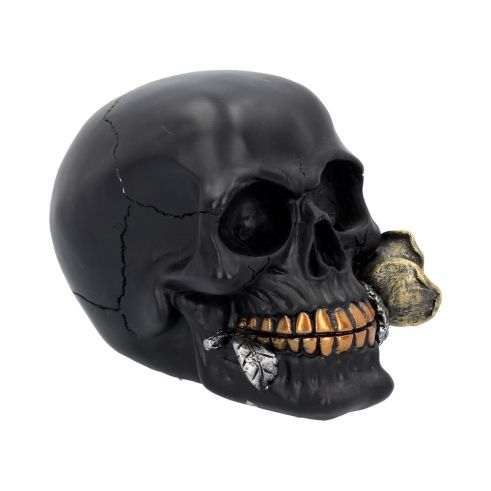 Black Rose from the Dead 15cm Skulls Statues Medium (15cm to 30cm)