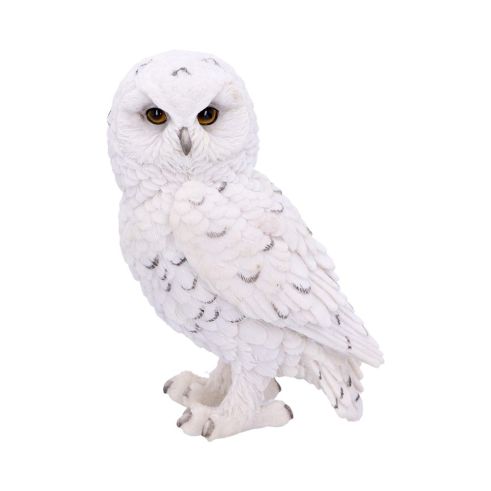 Snowy Watch Small 13.3cm Owls Gifts Under £100