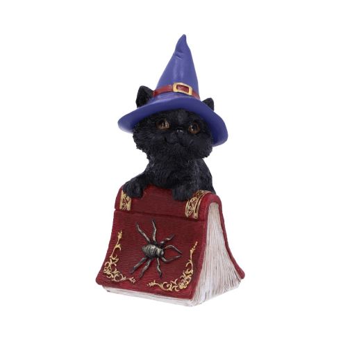 Hocus 12.7cm Cats Gifts Under £100