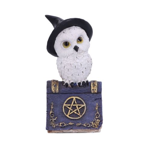 Avian Spell (Blue) 12.5cm Owls Halloween Party