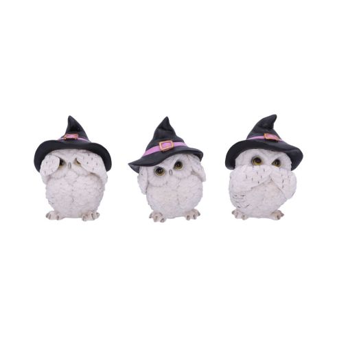 Three Wise Feathered Familiars 9cm Owls Halloween RRP Below 20