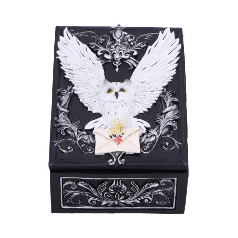 Owl Messenger Box 14cm Owls NEMESIS NOW | EASTER SALE
