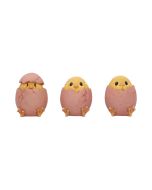 Three Wise Chicks 6.7cm Animals NEMESIS NOW | EASTER SALE