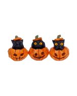 Three Wise Pumpkin Patch Cats Spooky Season