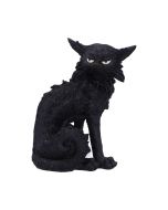 Salem (Small) 19.6cm Cats Halloween RRP Above 20