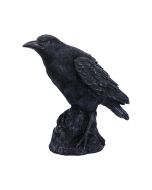 Raven Messenger 25cm Ravens Every Day Is Halloween
