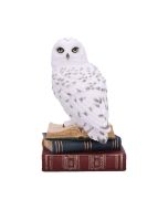 Library of Wisdom 17cm Owls Coming Soon Products