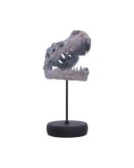 Tyrannosaurus Rex Skull on Plinth Dinosaurs Father's Day
