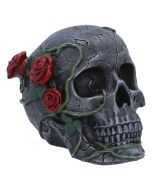 Twilight Bloom 15.6cm Skulls Out Of Stock